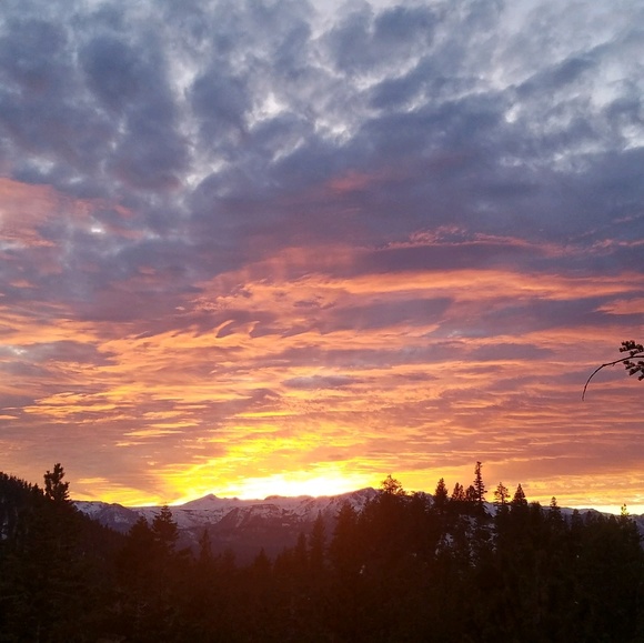 Meet your Posher, Brianne - Picture 1 of 1